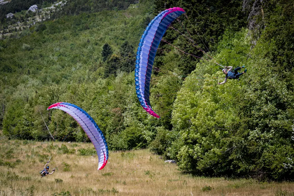 Exta-parakite-Airdesign-05.webp
