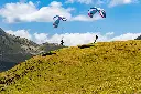 Exta-parakite-Airdesign-08.webp