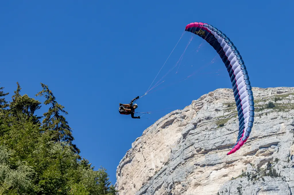 Exta-parakite-Airdesign-06.webp