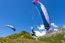 Exta-parakite-Airdesign-02.webp