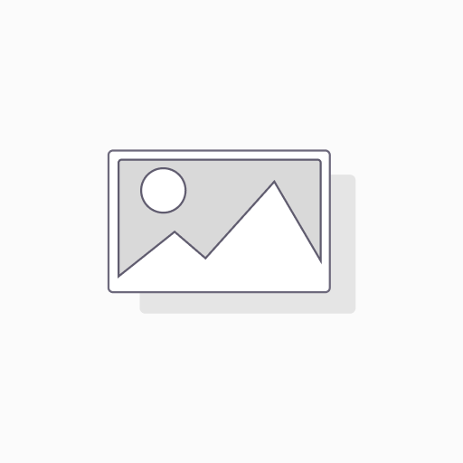 Foam Pillow Protector - BoxR
